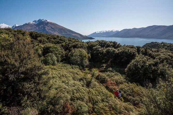 Wanaka Water Taxi Mou Waho Island Tour - Final Thoughts