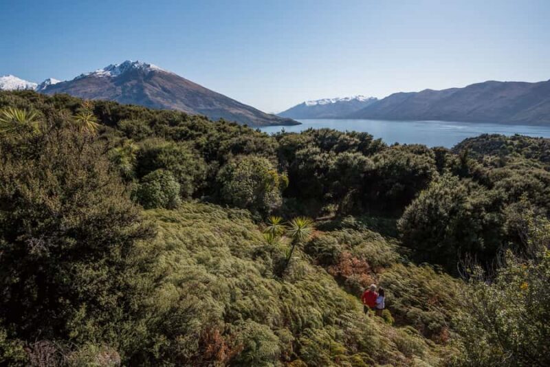 Wanaka: Water Taxi & Mou Waho Island Tour - Key Points