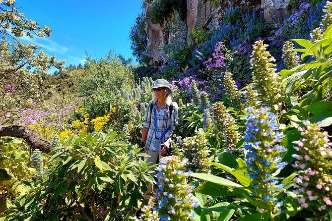 Wanderungen im grünen Gran Canaria - Who Is This Tour Best For?