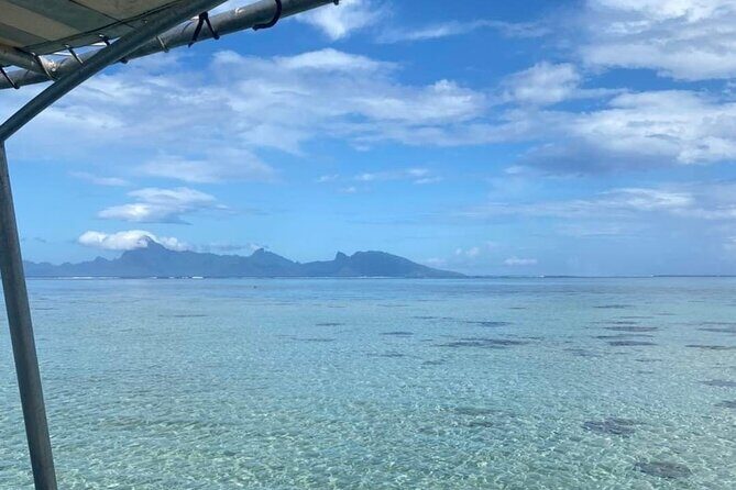 Want to escape? Treat yourself to a snorkeling session in Tahiti! - Practical Tips for Your Snorkeling Adventure