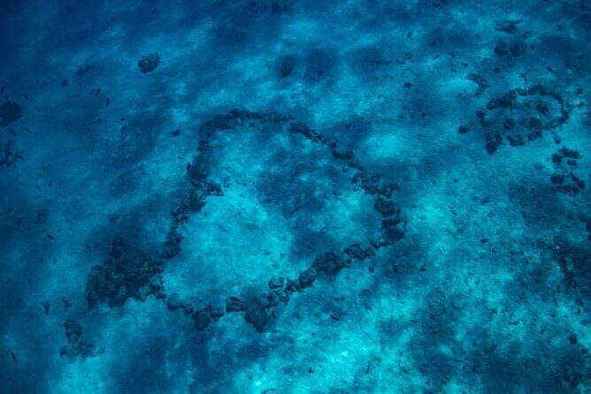 Want to escape? Treat yourself to a snorkeling session in Tahiti! - Final Thoughts