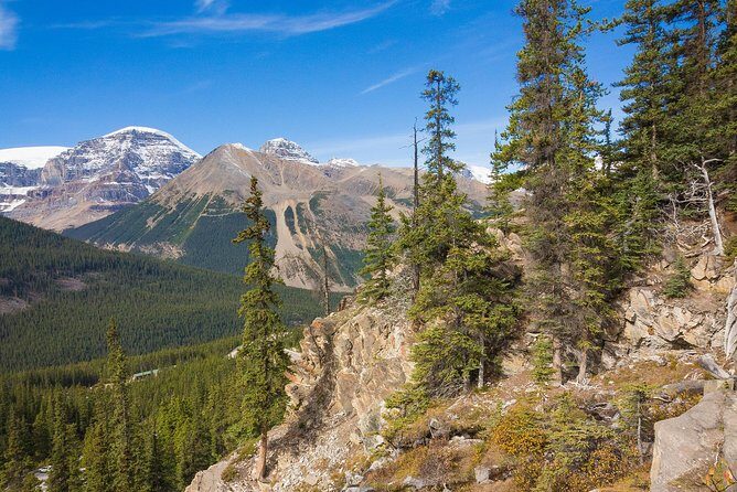 Wapiti - Uncover the Beauty of Western Canada (7-days) - Wrapping It Up