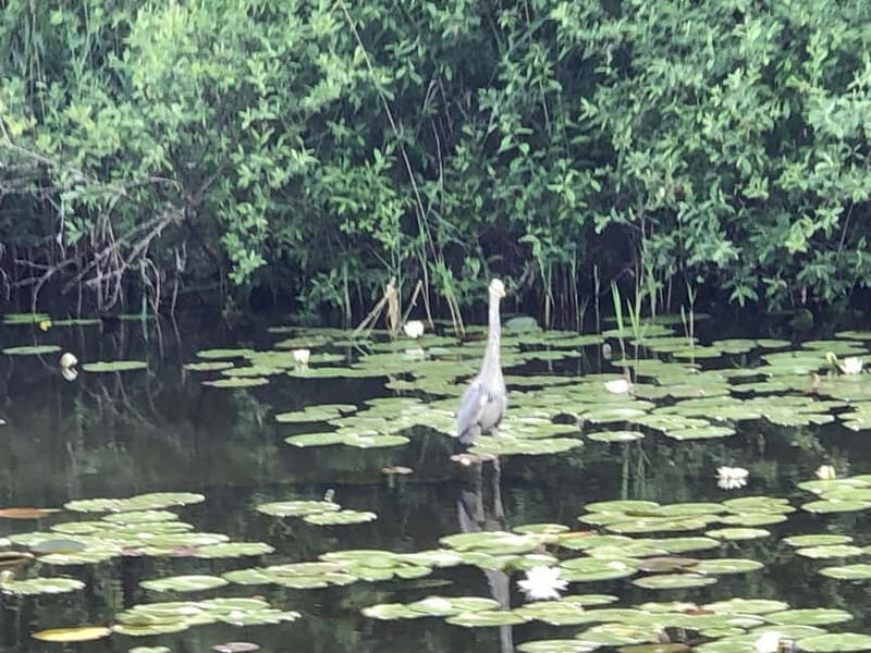 Waren (Müritz): Fun Cruise motor yacht with skipper - 4 hours - Exploring the Müritz Region on a Private Yacht