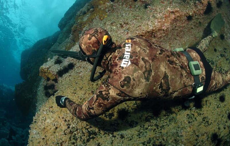 Warkworth: Full-Day Spearfishing Charter - What Is the Warkworth Full-Day Spearfishing Charter?