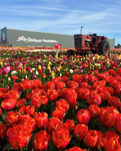 Warmond: Kagerplassen Cruise with "Tulip Experience" Ticket - Who Will Love This Experience?