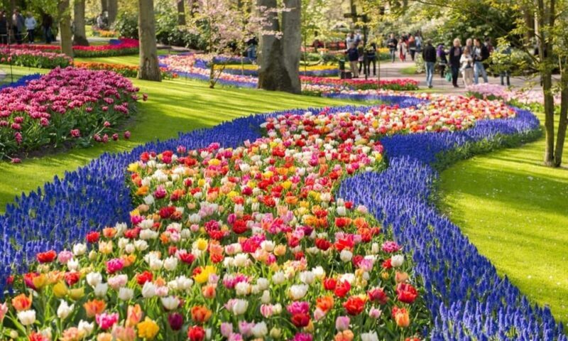 Warmond: Windmill Cruise and Keukenhof Entry Ticket - The Itinerary and What to Expect