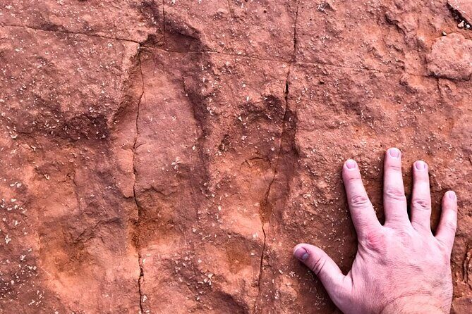 Warner Valley Dinosaur Track Site 4x4 Tour - What to Expect from the Tour