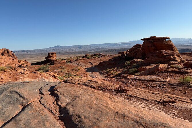 Warner Valley Dinosaur Track Site 4x4 Tour - Who Is This Tour Best For?