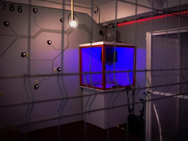 Warsaw: 60-minute Escape Room Challenge for Teams - Logistics and Practical Tips