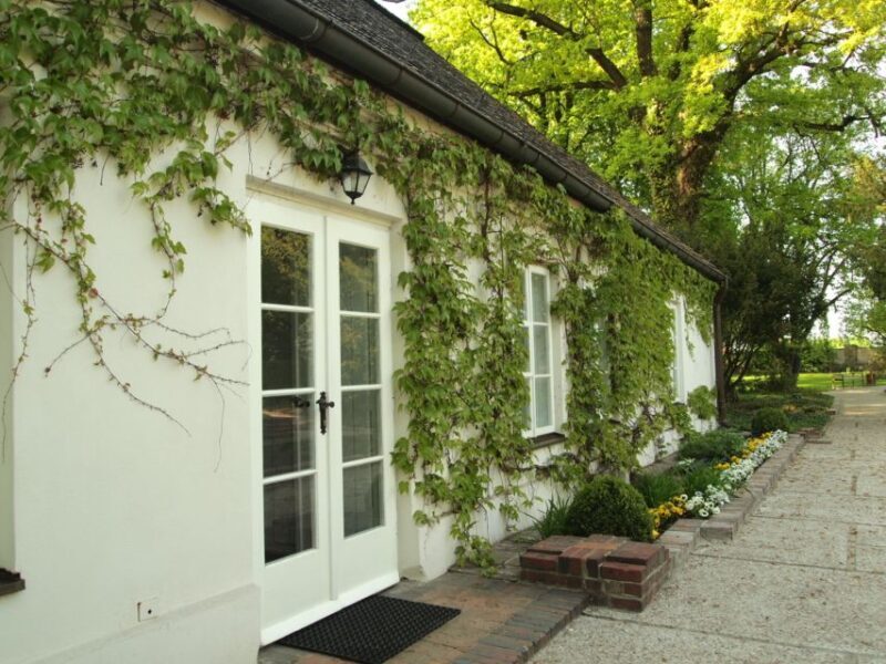 Warsaw and Zelazowa Wola: Frédéric Chopin Private Tour - FAQs