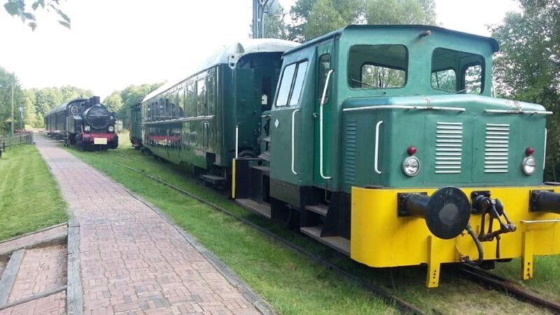 Warsaw: Bialowieza National Park and European Bison Tour - An In-Depth Look at the Tour Experience