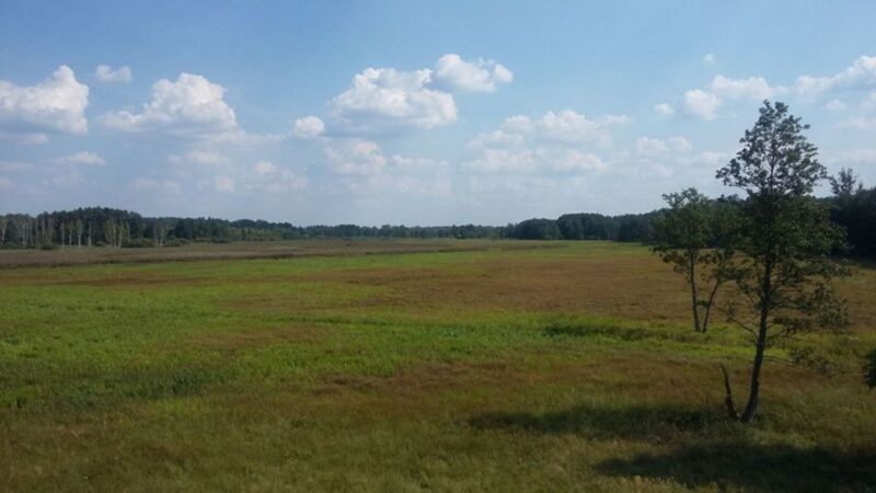 Warsaw: Bialowieza National Park and European Bison Tour - The Price and Its Value