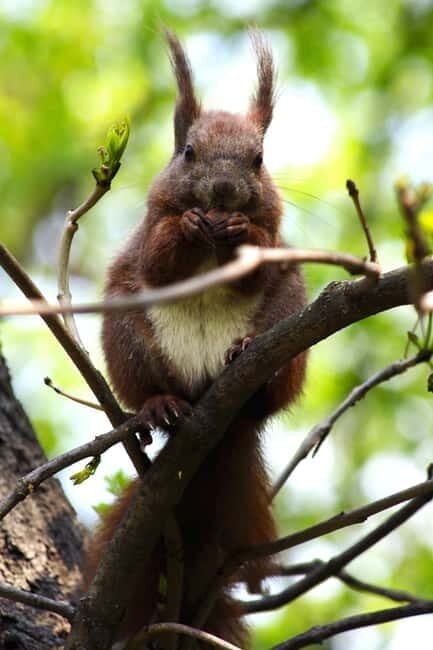 Warsaw: Exclusive city tour with photo session - Who Will Love This Tour?