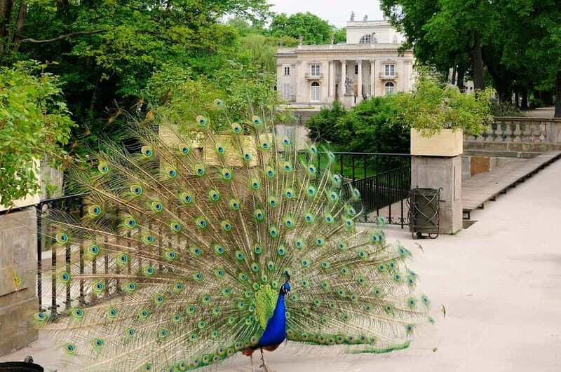 Warsaw Half-Day Private Panoramic Tour - Practical Tips for Your Tour