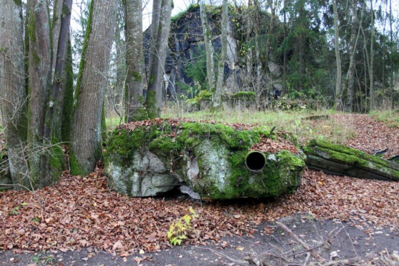 Warsaw: Private Full-Day Wolf's Lair Tour - A Deep Dive into the Tour Experience