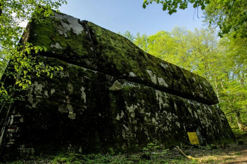 Warsaw: Private Full-Day Wolf's Lair Tour - Who Should Consider This Tour?