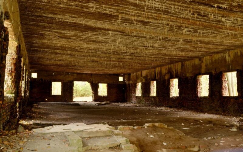 Warsaw: Private Full-Day Wolf's Lair Tour - FAQ