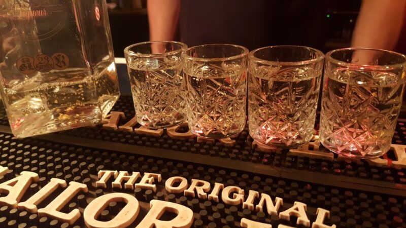 Warsaw Private Vodka Tasting Tour - The Guide and Experience