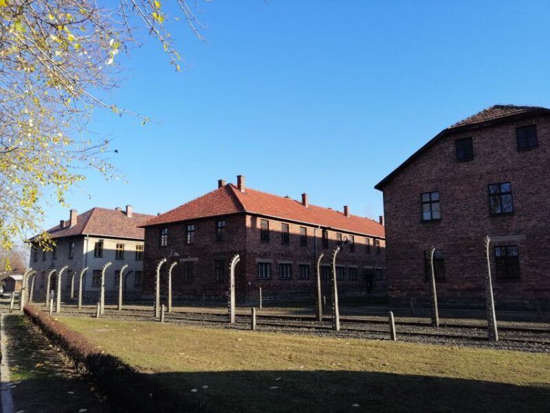 Warsaw: Tour to Krakow and Auschwitz by Train with Pickup - Auschwitz and Birkenau Guided Tour