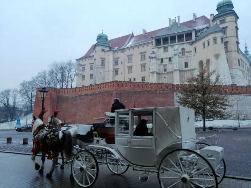 Warsaw: Tour to Krakow and Auschwitz by Train with Pickup - Free Time in Krakow