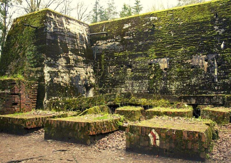 Warsaw: Wolf's Lair & Swieta Lipka Small-Group Tour + Lunch - Analyzing the Experience: Is it Worth It?