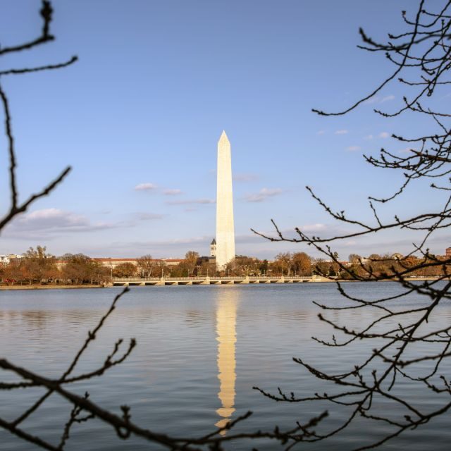 Washington: Cherry Blossom Tour - Who Would Love This Tour?