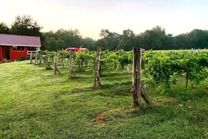 Washington County Wednesday Winehop and Bingo Cruise - Who Is This Tour Best For?