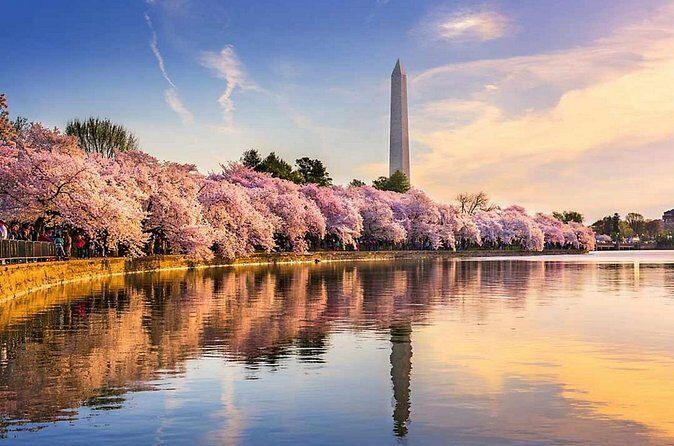 Washington D.C. Cherry Blossom,Baltimore 3-Day Tour from Boston - FAQ
