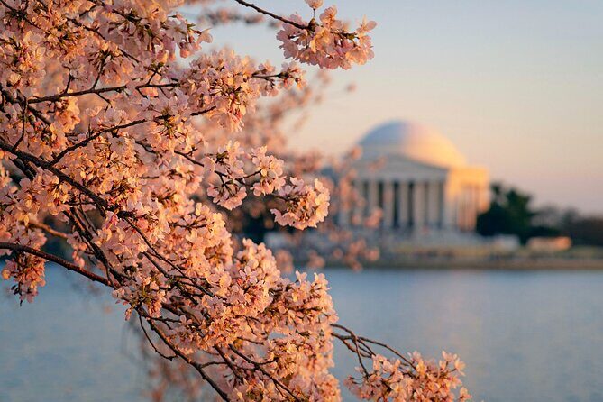 Washington D.C.& Philadelphia 2-Day Tour from New York City - FAQs