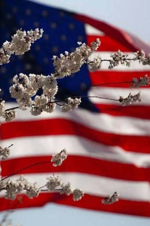 Washington, D.C.: Small Group Tour by Van - The Itinerary in Detail