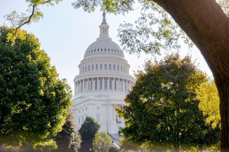 Washington DC: Bus Tour with US Capitol and Archives Access - What to Expect from the Tour
