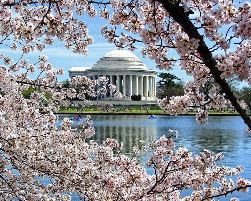 Washington DC: Cherry Blossom Walking Tour - Exploring the Tour Itinerary
