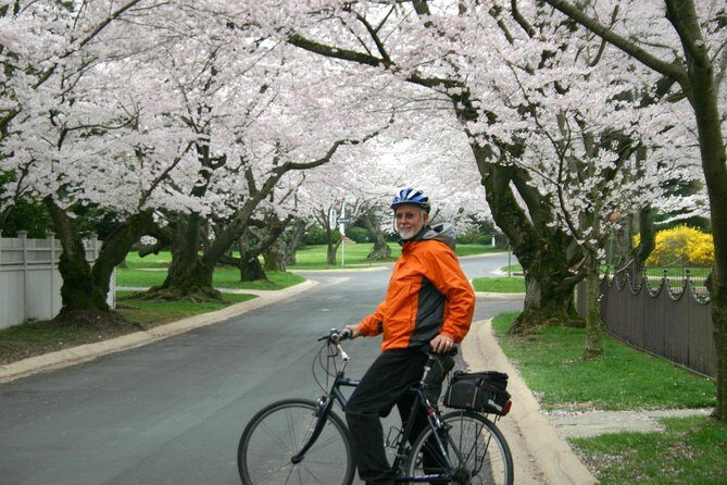Washington DC Cherry Blossoms By Bike Tour - Who Should Consider This Tour?