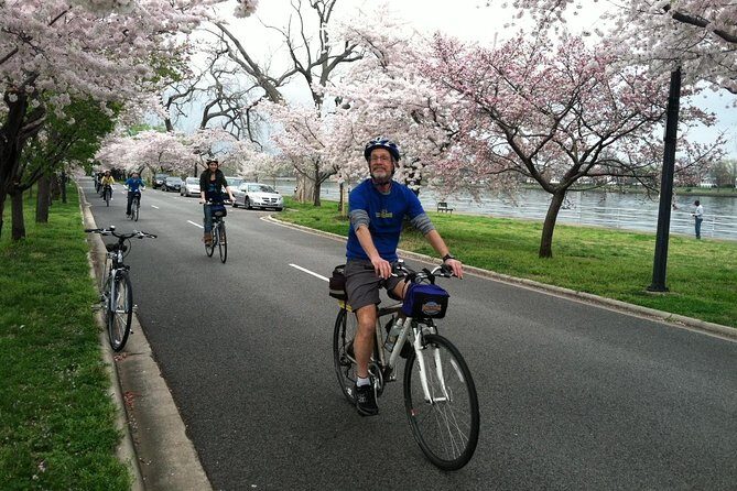 Washington DC Cherry Blossoms By Bike Tour - Final Thoughts