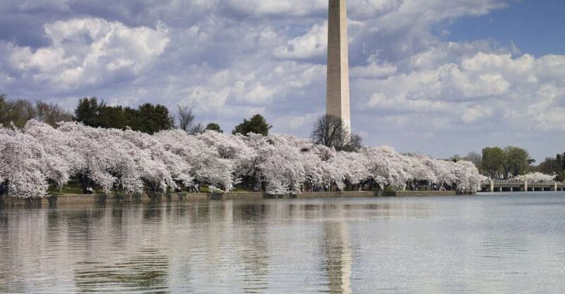 Washington DC: Half-Day Bus Tour with Optional Museum Ticket - FAQs