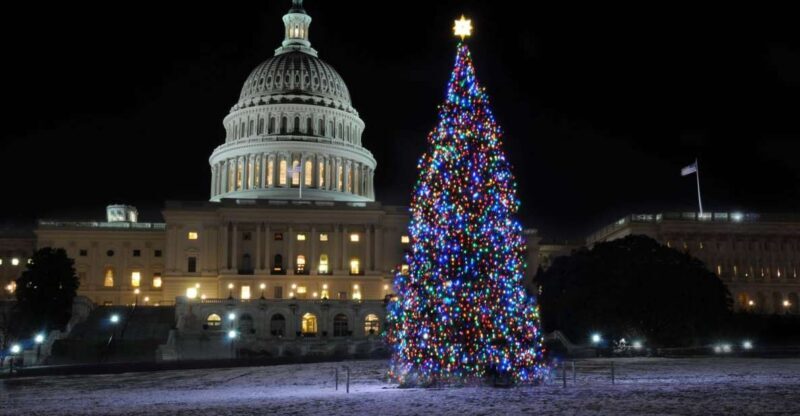 Washington, DC: Holiday Lights Nighttime Bus Tour - What Makes This Tour Stand Out