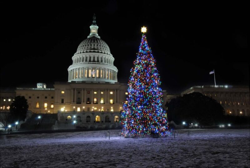 Washington, DC: Holiday Lights Nighttime Bus Tour - What the Reviews Say