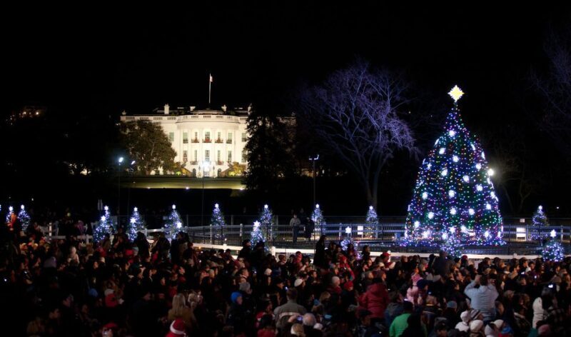 Washington, DC: Holiday Lights Nighttime Bus Tour - Who Is This Tour Best For?