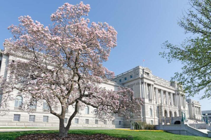 Washington DC: Library of Congress Private Tour with Tickets - The Price: Is It Worth It?