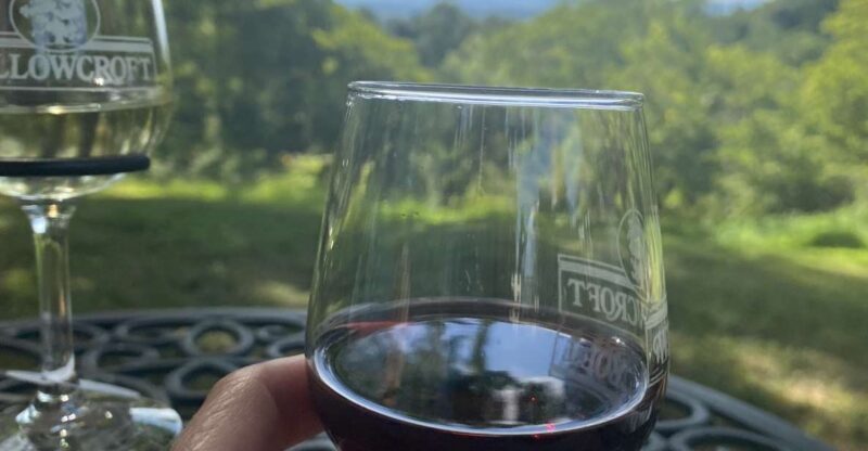 Washington, DC: Virginia Wine Region Experience Tour - What You Can Expect from the Tour
