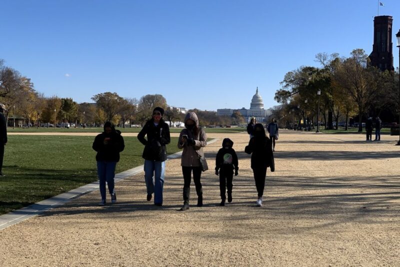 Washington DC: Walking Tour and African American Museum - Is this tour right for you?