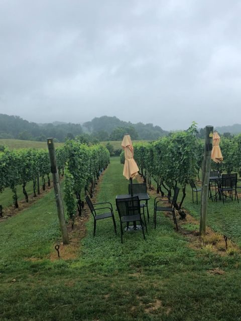 Washington DC: Winery Tour - What You Can Expect on the Day