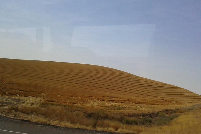 WASHINGTON ST AGRICULTURE, Apples & Irrigation - FAQs