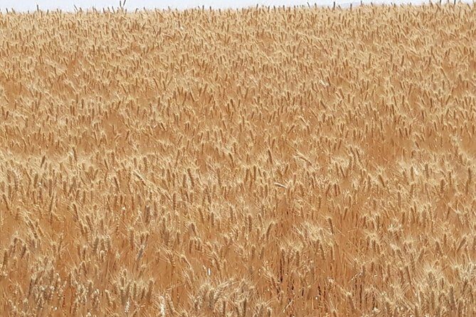 WASHINGTON ST AGRICULTURE, Apples & Irrigation - Final Thoughts