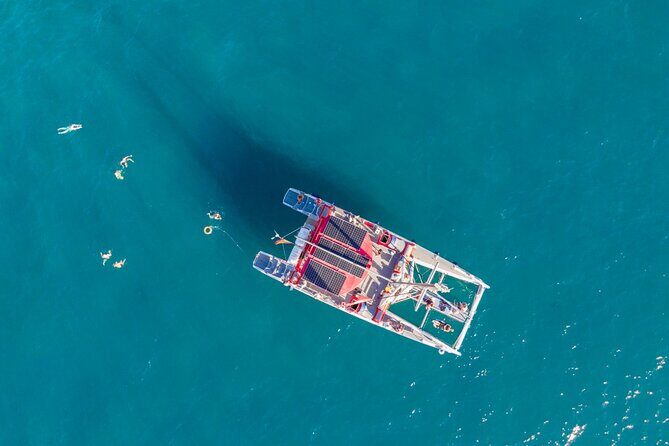 Watching and Listening Whales visiting Los Gigantes&Masca. Food&drinks included - FAQs