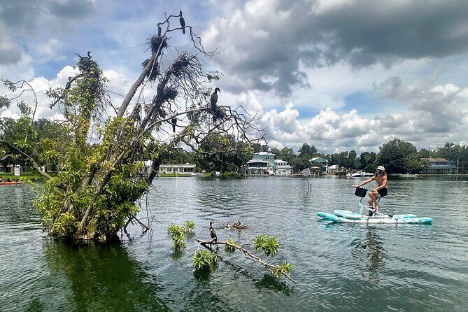 Water Bike Rental in Crystal River - Who Should Consider This Tour?