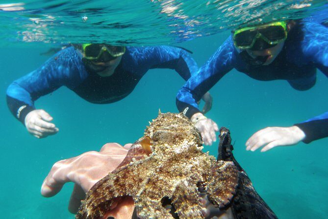 Water Taxi Lobos Island - Is This Tour Worth the Price?