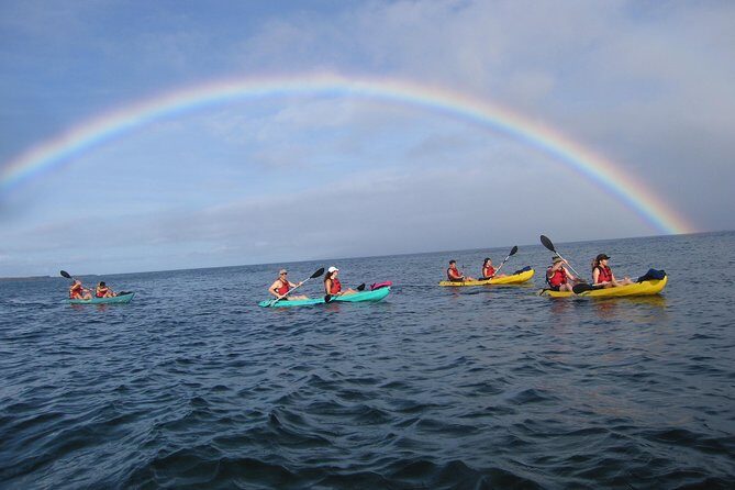 Waterfall Hike and Kayak Snorkel & Paddle from Makena - The Experience: What You Can Expect