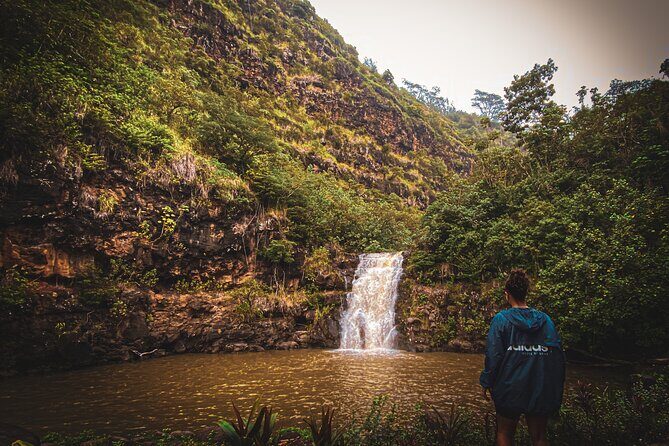 Waterfall Hike in Hawai'i Rainforest Trail - Deep Dive into the Experience