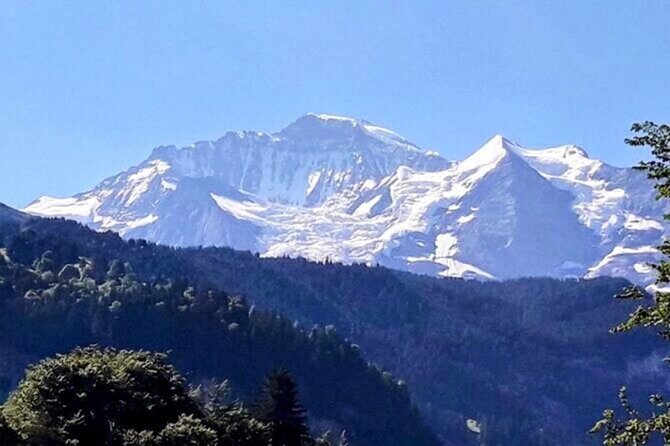 Waterfall Lauterbrunnen CLOY Pier Iseltwald Interlaken Private - Who Should Consider This Tour?